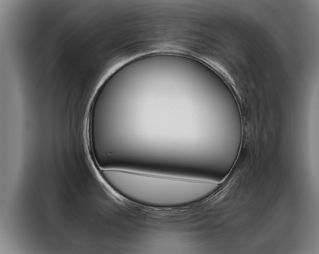X0000088401391200705220812