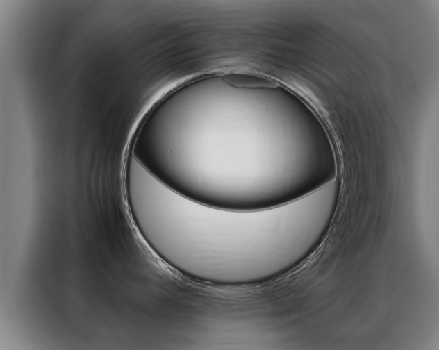 X0000088401392200705220812