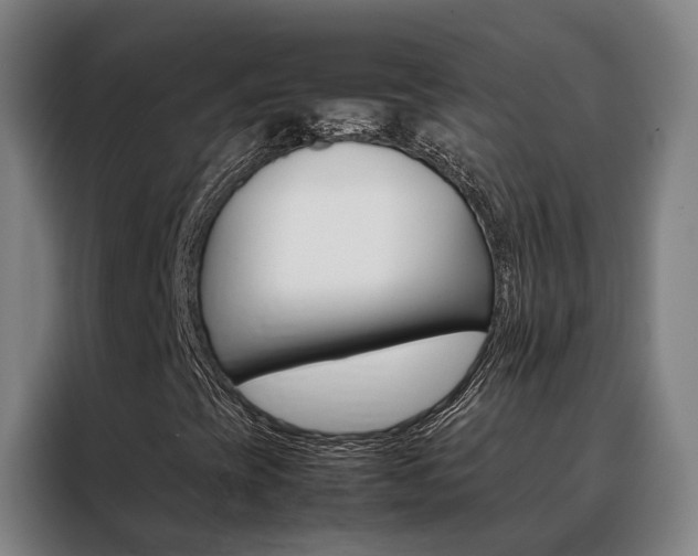 X0000088401393200705220812