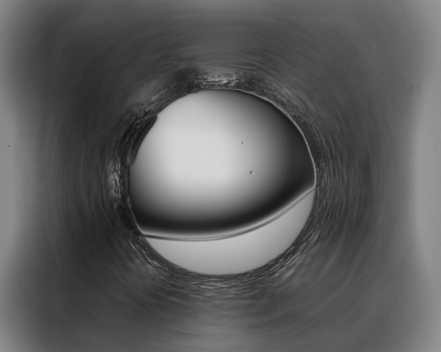X0000088401394200705220812