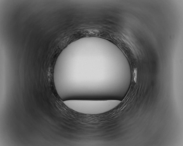 X0000088401395200705220812