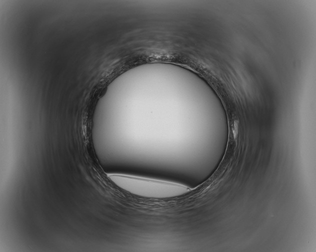 X0000088401396200705220812