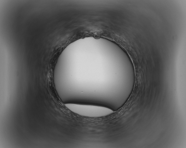 X0000088401397200705220812