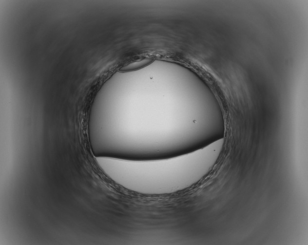 X0000088401399200705220812