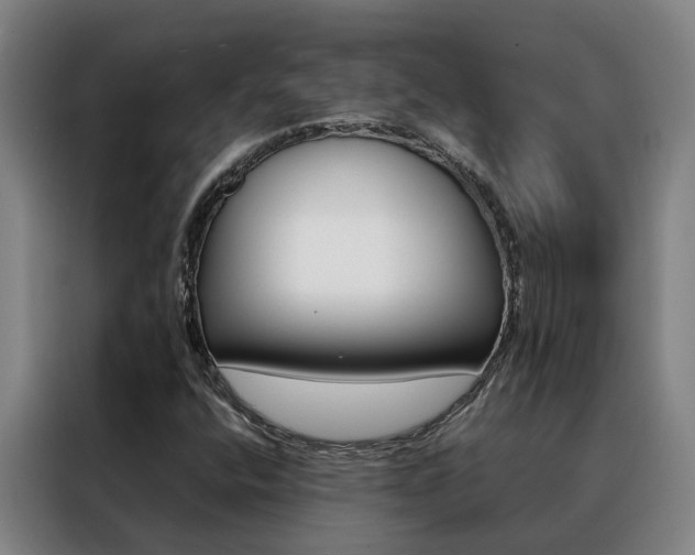 X0000088401400200705220812