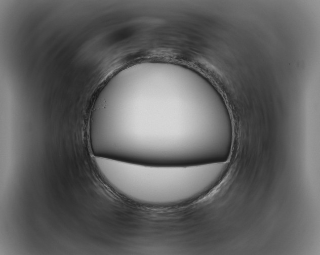 X0000088401401200705220812