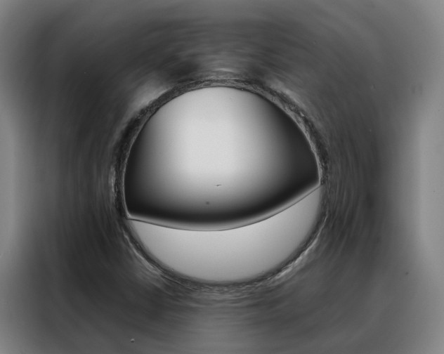 X0000088401402200705220812