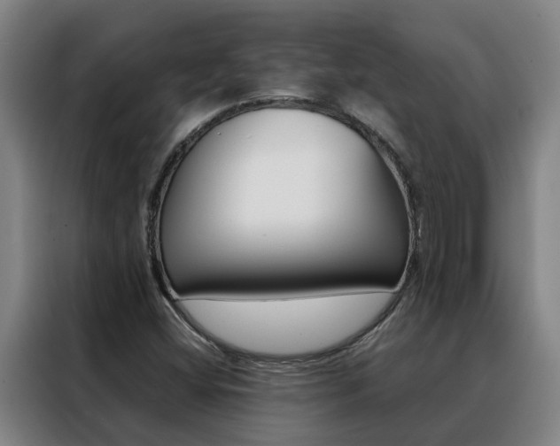X0000088401404200705220812