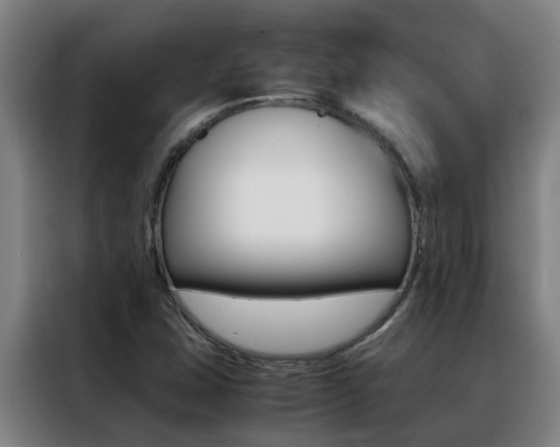 X0000088401407200705220812