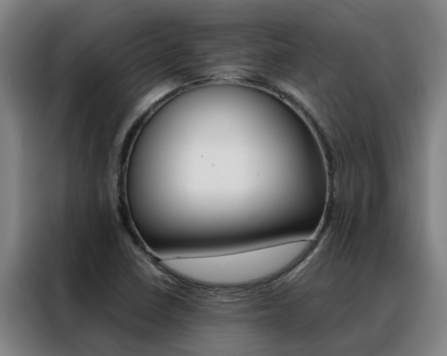 X0000088401410200705220812