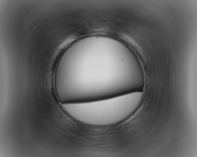 X0000088401411200705220812