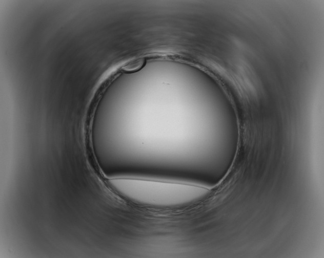 X0000088401412200705220812