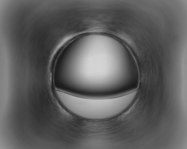 X0000088401414200705220812