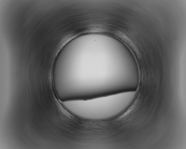 X0000088401417200705220812