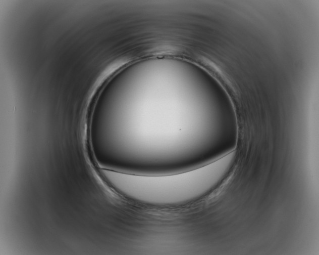 X0000088401418200705220812