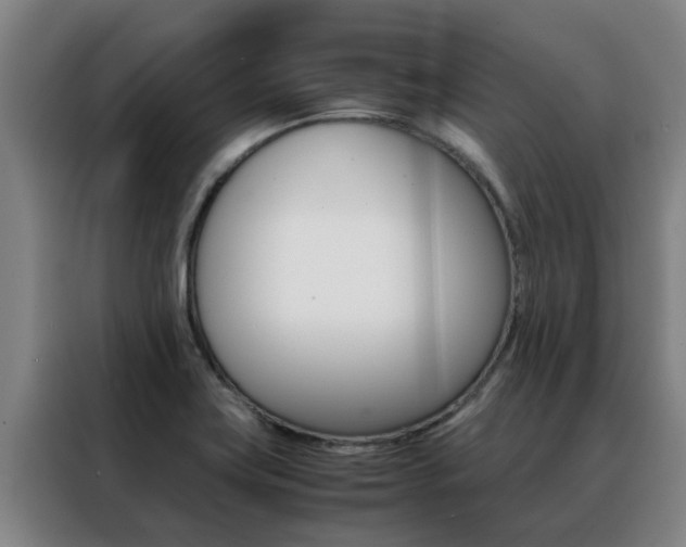 X0000088401419200705220812