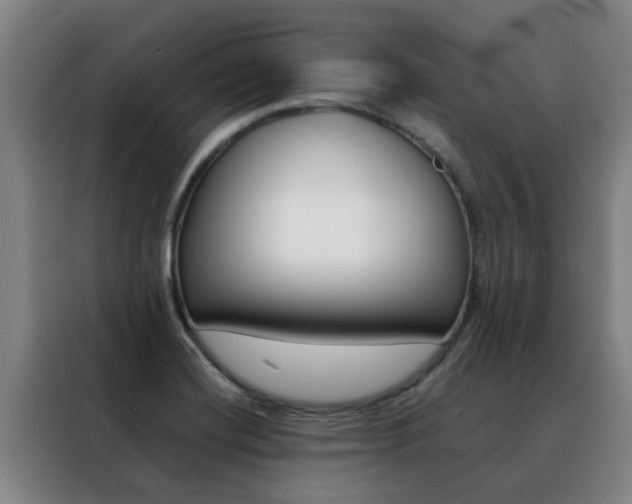 X0000088401420200705220812