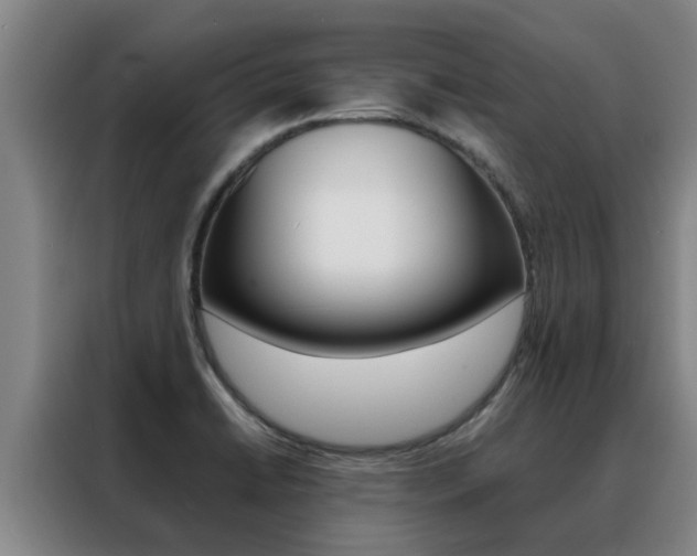 X0000088401422200705220812