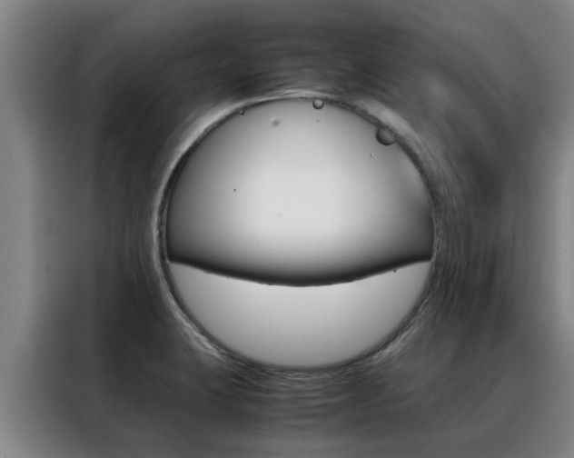 X0000088401423200705220812