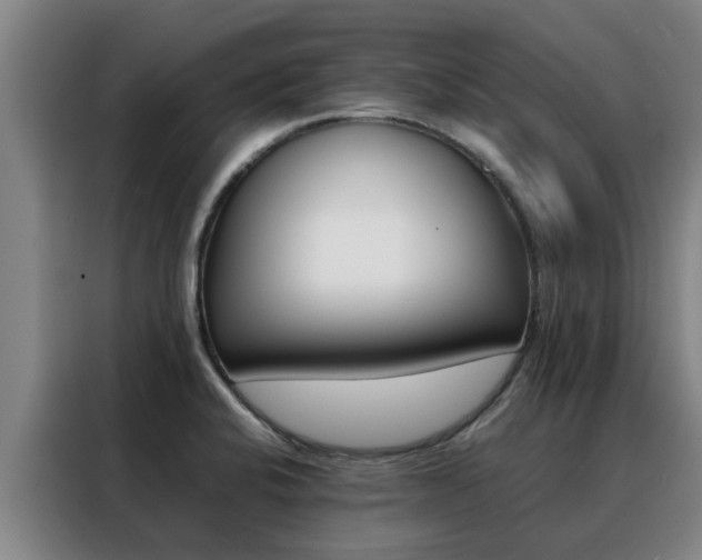 X0000088401424200705220812