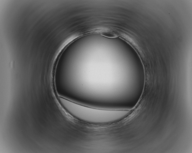 X0000088401426200705220812