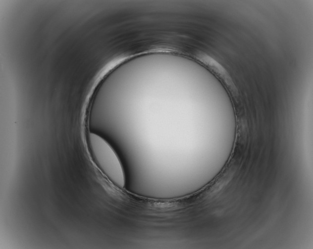 X0000088401427200705220812