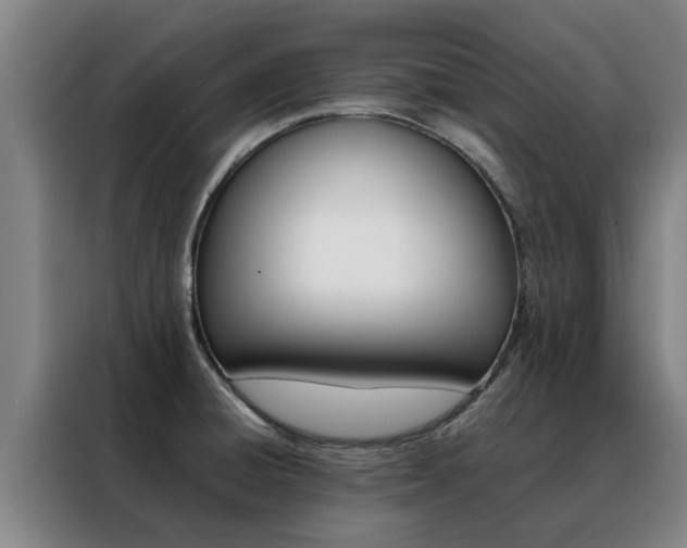X0000088401428200705220812