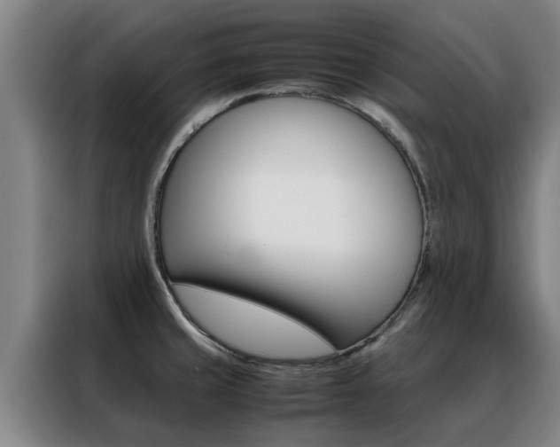 X0000088401429200705220812