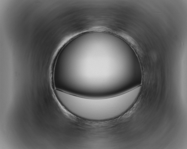 X0000088401430200705220812