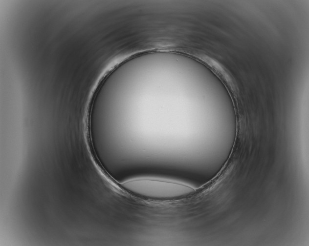 X0000088401432200705220812