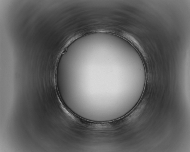X0000088401433200705220812