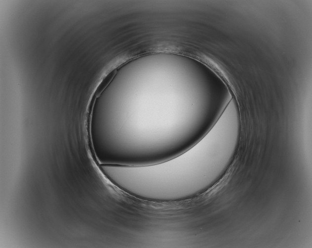 X0000088401434200705220812
