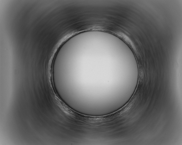 X0000088401435200705220812