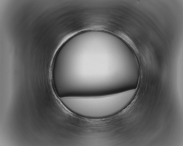 X0000088401436200705220812