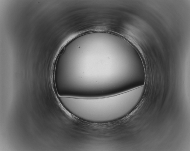 X0000088401437200705220812