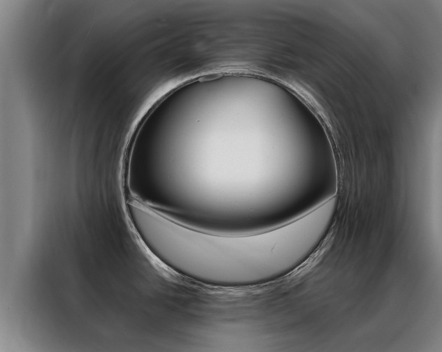 X0000088401438200705220812