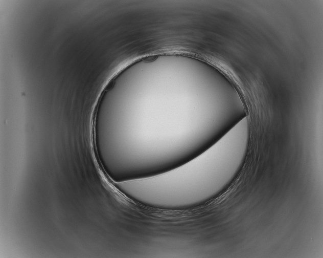 X0000088401439200705220812
