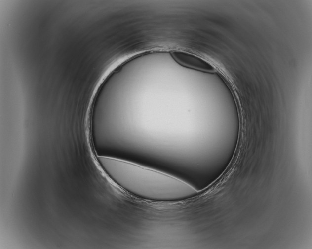 X0000088401440200705220812