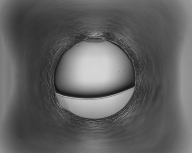 X0000088401441200705220812