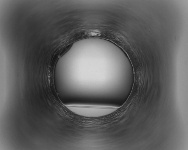 X0000088401442200705220812