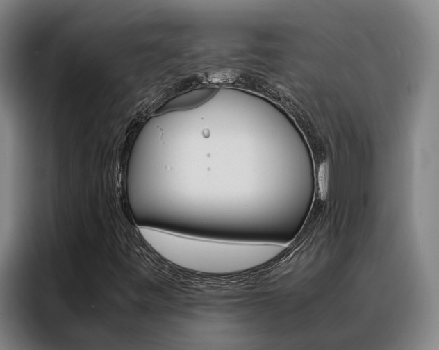 X0000088401443200705220812