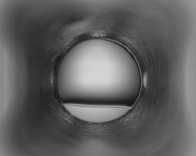 X0000088401444200705220812