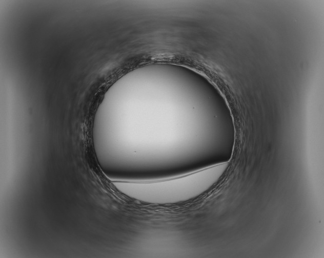 X0000088401445200705220812