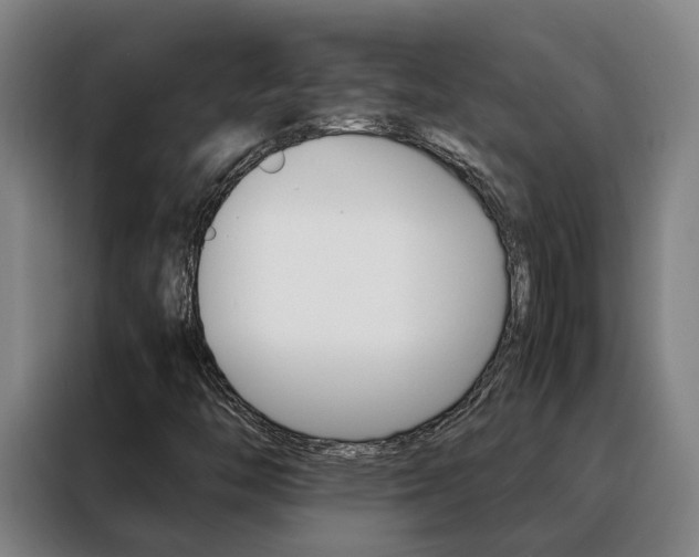 X0000088401446200705220812