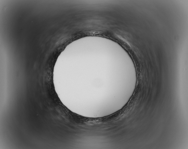 X0000088401447200705220812