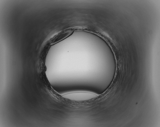 X0000088401448200705220812