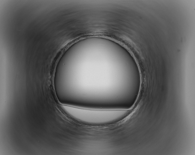 X0000088401449200705220812