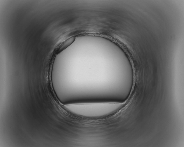 X0000088401451200705220812
