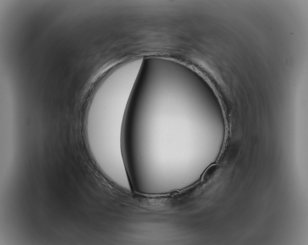 X0000088401453200705220811