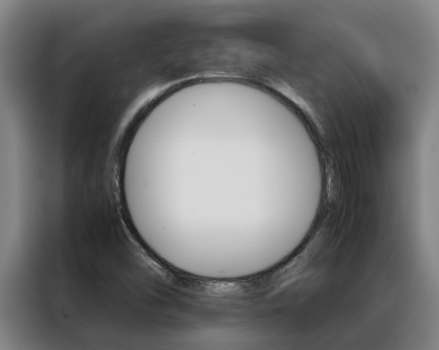 X0000088401454200705220811